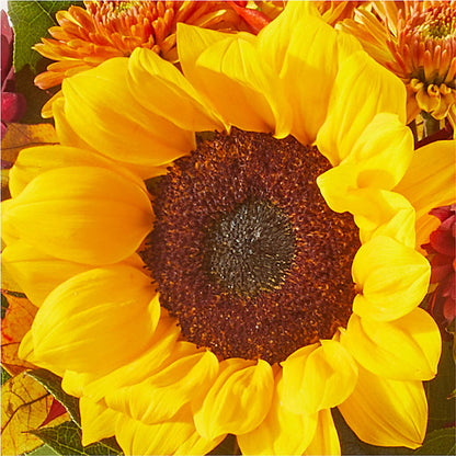 Sunny Side Bouquet – CAAN FLORAL & GREENHOUSES LLC, Sheboygan WI
