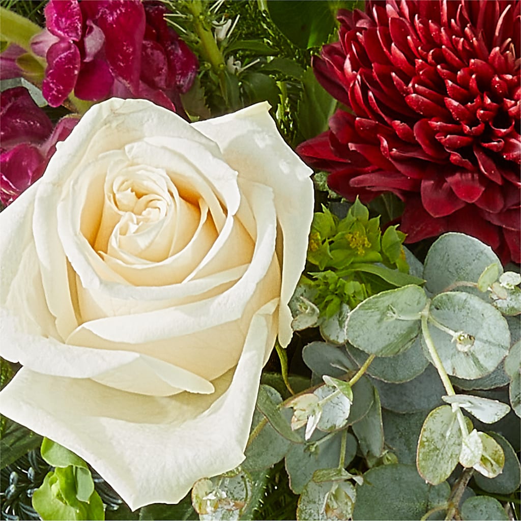 Cranberry Fizz Bouquet – CAAN FLORAL & GREENHOUSES LLC, Sheboygan WI