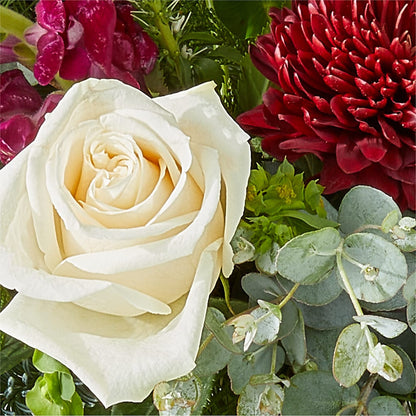 Cranberry Fizz Bouquet – CAAN FLORAL & GREENHOUSES LLC, Sheboygan WI