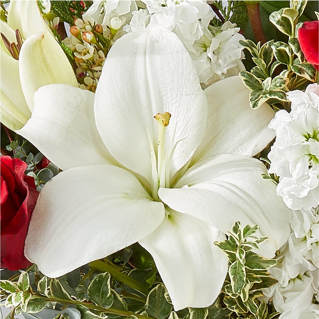Twinkle Lights Bouquet – CAAN FLORAL & GREENHOUSES LLC, Sheboygan WI