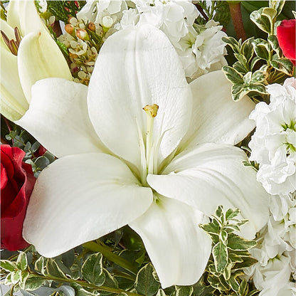 Twinkle Lights Bouquet – CAAN FLORAL & GREENHOUSES LLC, Sheboygan WI