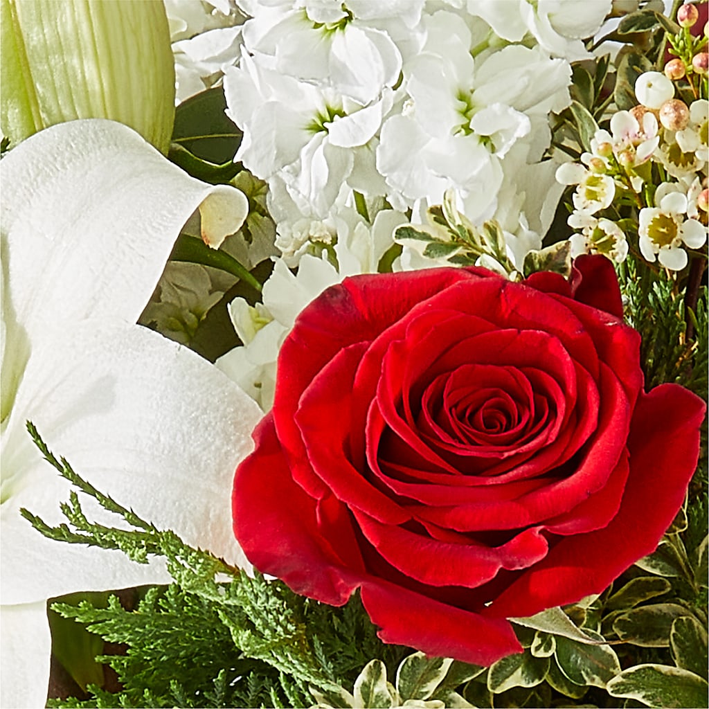 Twinkle Lights Bouquet – CAAN FLORAL & GREENHOUSES LLC, Sheboygan WI