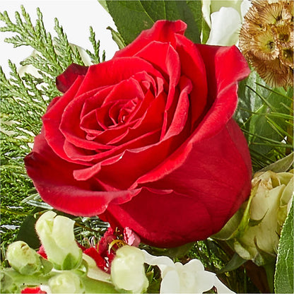 Deck the Halls Bouquet – CAAN FLORAL & GREENHOUSES LLC, Sheboygan WI
