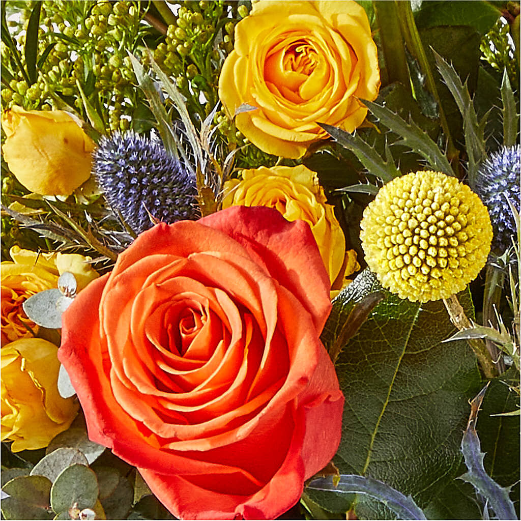 Disco Bouquet – CAAN FLORAL & GREENHOUSES LLC, Sheboygan WI