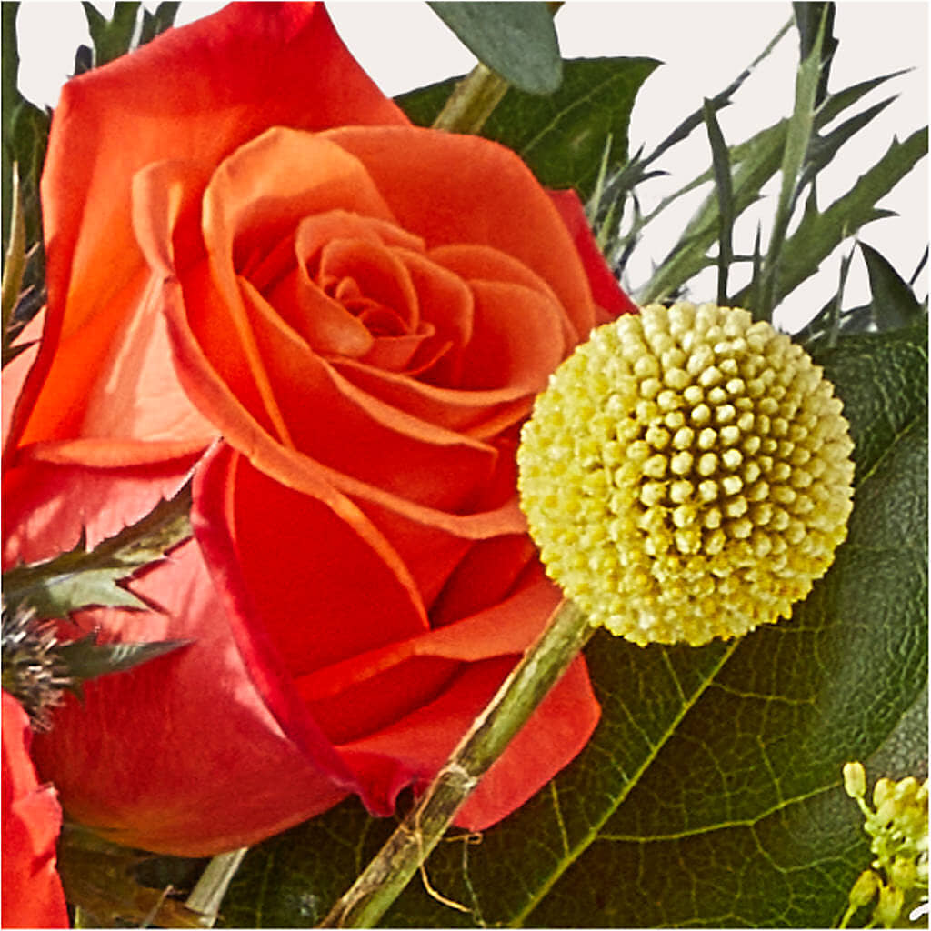 Disco Bouquet – CAAN FLORAL & GREENHOUSES LLC, Sheboygan WI