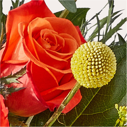 Disco Bouquet – CAAN FLORAL & GREENHOUSES LLC, Sheboygan WI