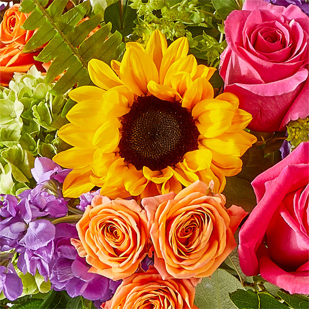 Vibrant Greetings Bouquet – CAAN FLORAL & GREENHOUSES LLC, Sheboygan WI