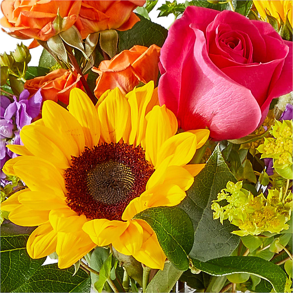 Vibrant Greetings Bouquet – CAAN FLORAL & GREENHOUSES LLC, Sheboygan WI