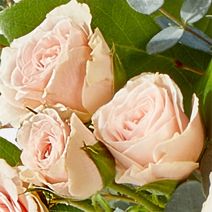 Inspired Bouquet – CAAN FLORAL & GREENHOUSES LLC, Sheboygan WI