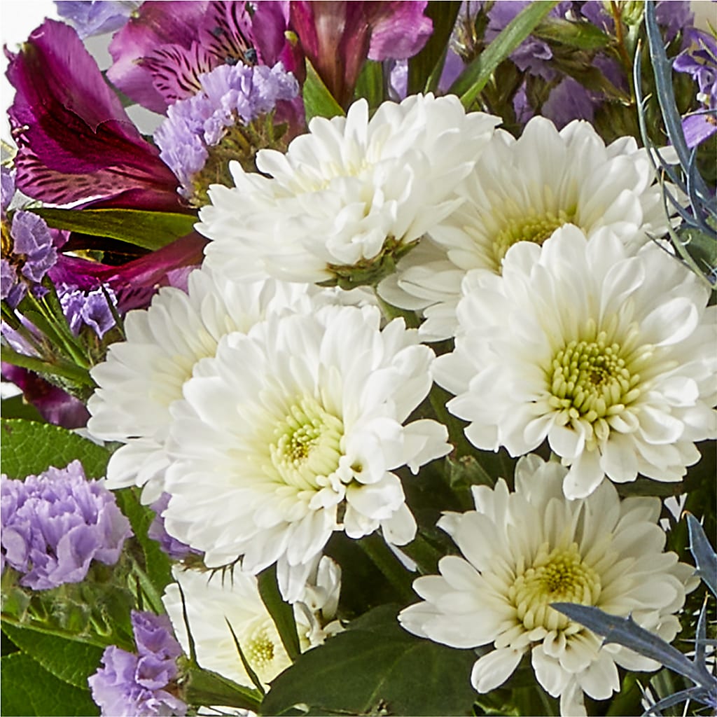 Shooting Star Bouquet – CAAN FLORAL & GREENHOUSES LLC, Sheboygan WI
