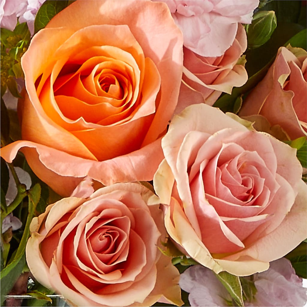French Market Bouquet – CAAN FLORAL & GREENHOUSES LLC, Sheboygan WI