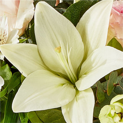 Ballet Slippers Bouquet – CAAN FLORAL & GREENHOUSES LLC, Sheboygan WI