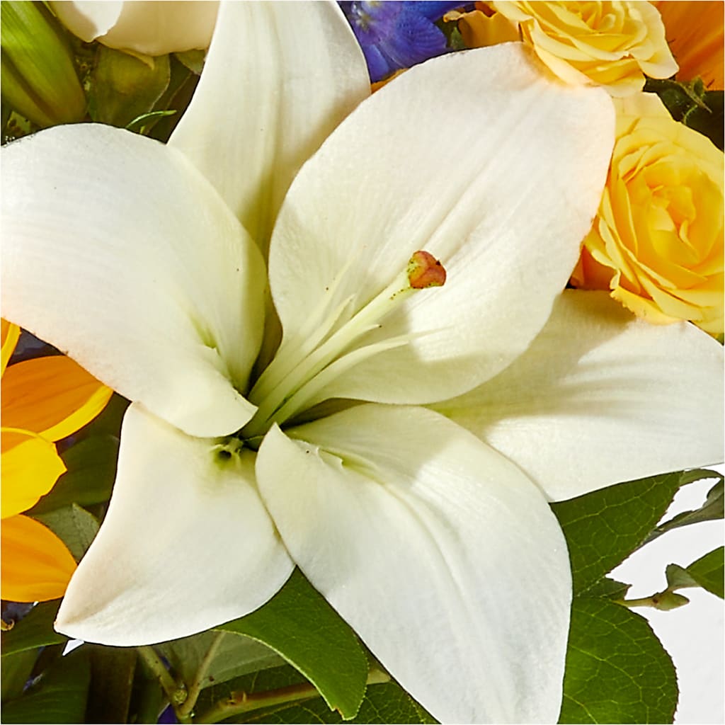 Wonderfully Sunny Bouquet – CAAN FLORAL & GREENHOUSES LLC, Sheboygan WI
