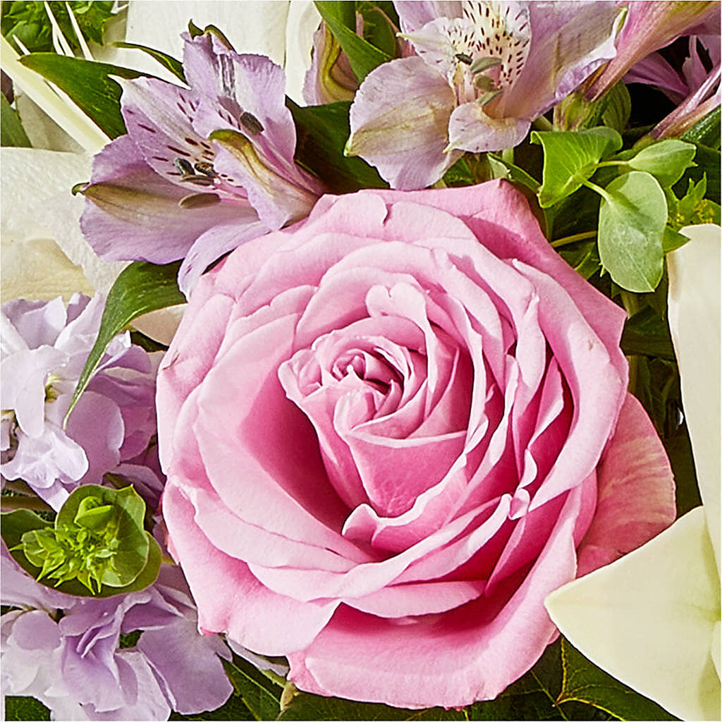 Daydreamer Bouquet – CAAN FLORAL & GREENHOUSES LLC, Sheboygan WI