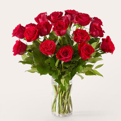 The One Red Rose Bouquet – CAAN FLORAL & GREENHOUSES LLC, Sheboygan WI
