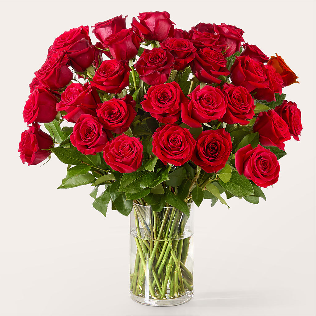 The One Red Rose Bouquet – CAAN FLORAL & GREENHOUSES LLC, Sheboygan WI