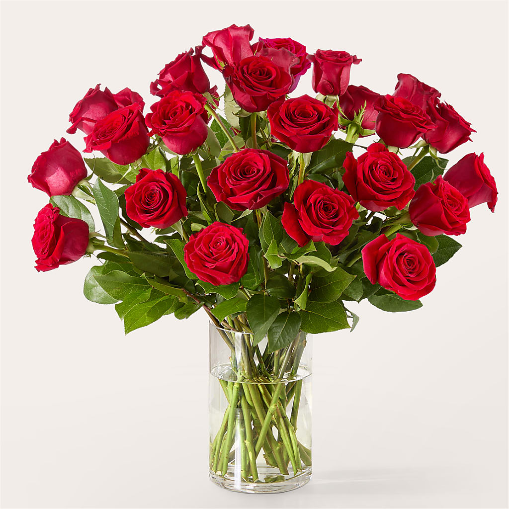The One Red Rose Bouquet – CAAN FLORAL & GREENHOUSES LLC, Sheboygan WI