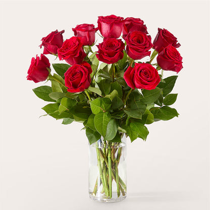 The One Red Rose Bouquet – CAAN FLORAL & GREENHOUSES LLC, Sheboygan WI