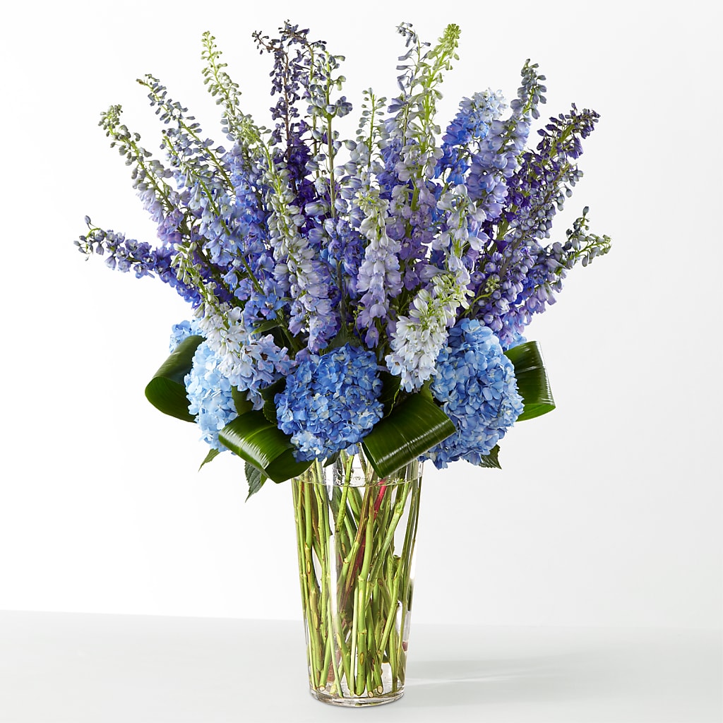 The Editorial – CAAN FLORAL & GREENHOUSES LLC, Sheboygan WI