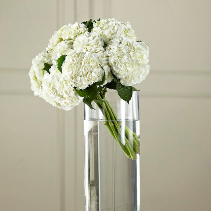 White Hydrangea Hand-Tied Bouquet – CAAN FLORAL & GREENHOUSES LLC, Sheboygan WI