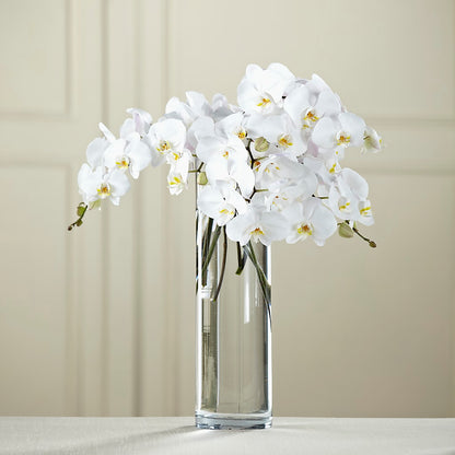 White Phalaenopsis Bouquet – CAAN FLORAL & GREENHOUSES LLC, Sheboygan WI