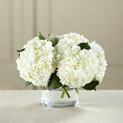 White Hydrangea Bouquet – CAAN FLORAL & GREENHOUSES LLC, Sheboygan WI